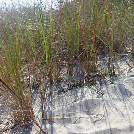 Haus Niedersachsen 1 Apartment *