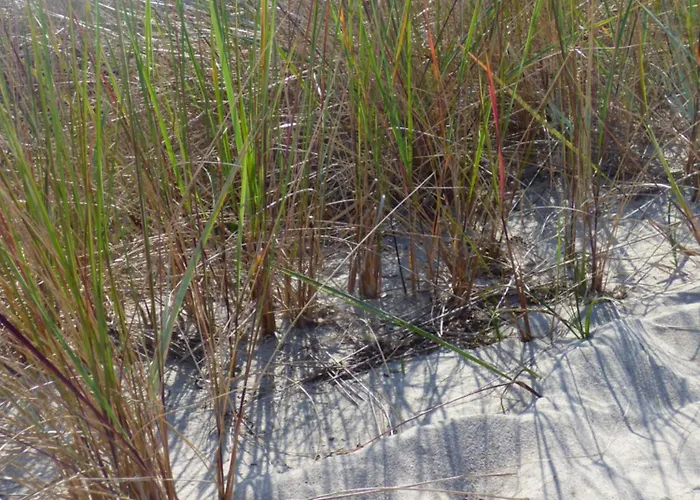 Haus Niedersachsen 1 Apartment *